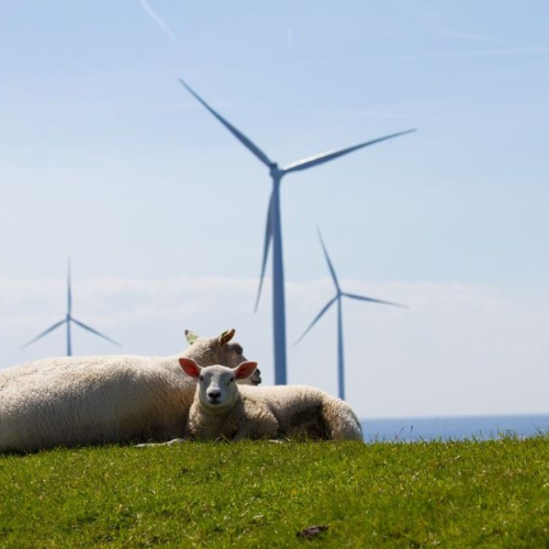 windmolens.JPG