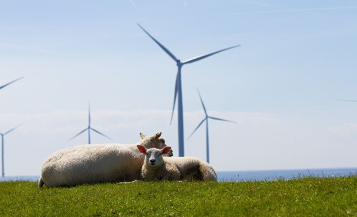 windmolens.JPG