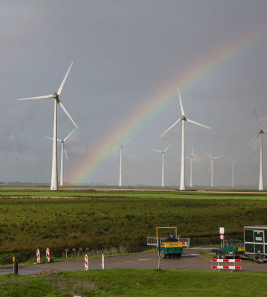 DMN 2017-2653.jpg